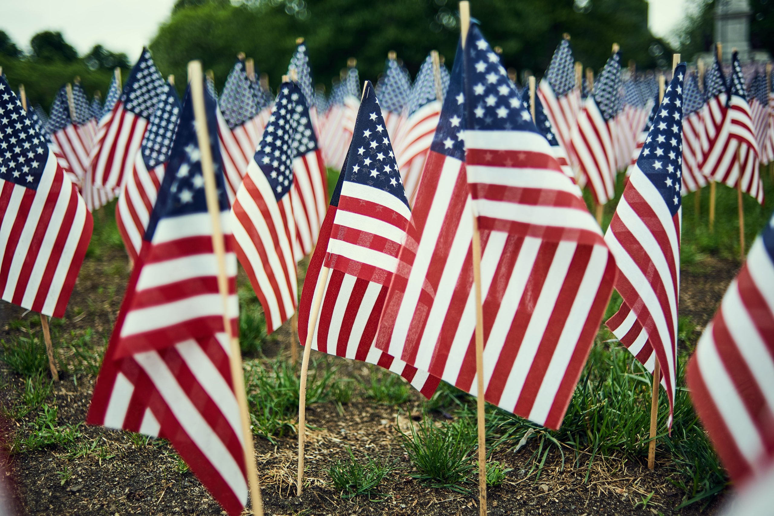 USA flags